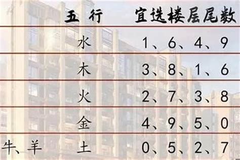 屬鼠樓層|属鼠最佳住房楼层和风水方位